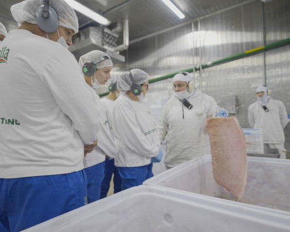 Produtores Destaque 2024 visitam as unidades da Friella