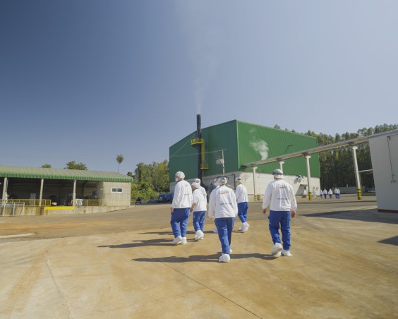 Produtores Destaque 2024 visitam as unidades da Friella