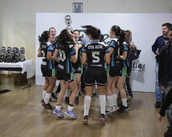 Décima Quarta Copa Friella de Futsal: Uma Celebração ao Esporte e Desenvolvimento