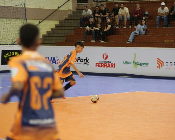 Décima Quarta Copa Friella de Futsal: Uma Celebração ao Esporte e Desenvolvimento